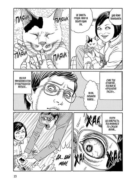 Junji Ito's Cat Diary: Yon & Mu