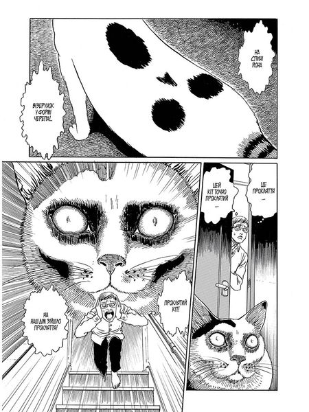 Junji Ito's Cat Diary: Yon & Mu