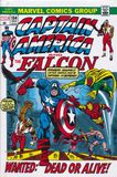 Captain America Omnibus HC #3B 230408-012 фото